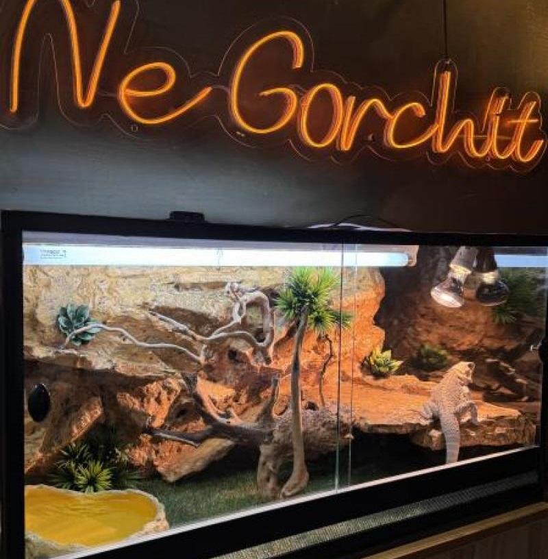 Ne Gorchit на Маркова 79